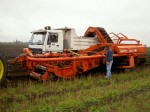 [sh_grading by Sun Harvest .JPG]